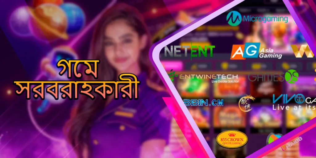 ক্যাসিনো গেম সরবরাহকারীরা